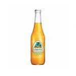 Jarritos Mango Surrey Donair Shop